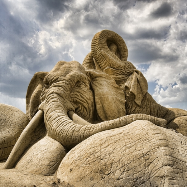 Photograph Huub Keulers The Elephant on One Eyeland